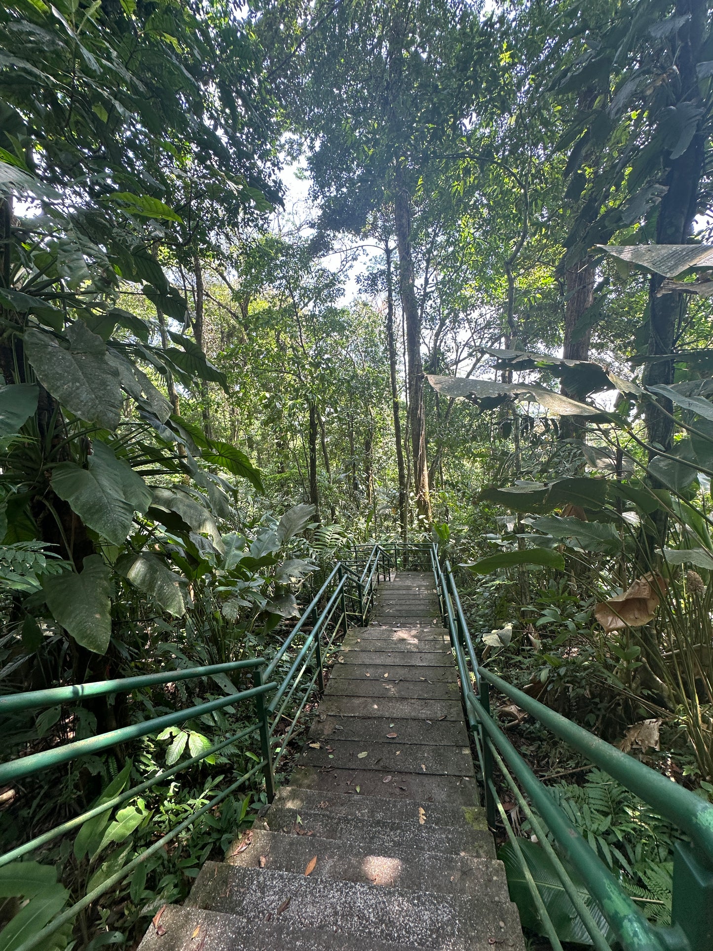 Breathtaking Tortuguero Hill Tour