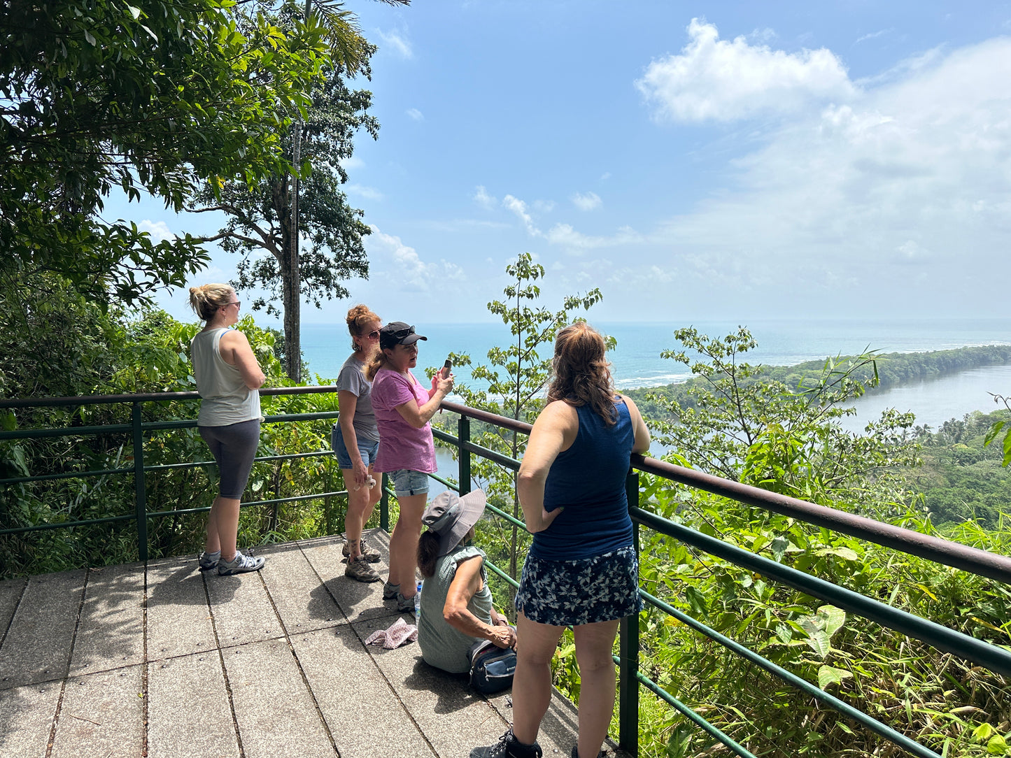 Scenic view from Tortuguero Hill Tour during Hike Cerro Tortuguero showcasing lush landscapes and vibrant wildlife