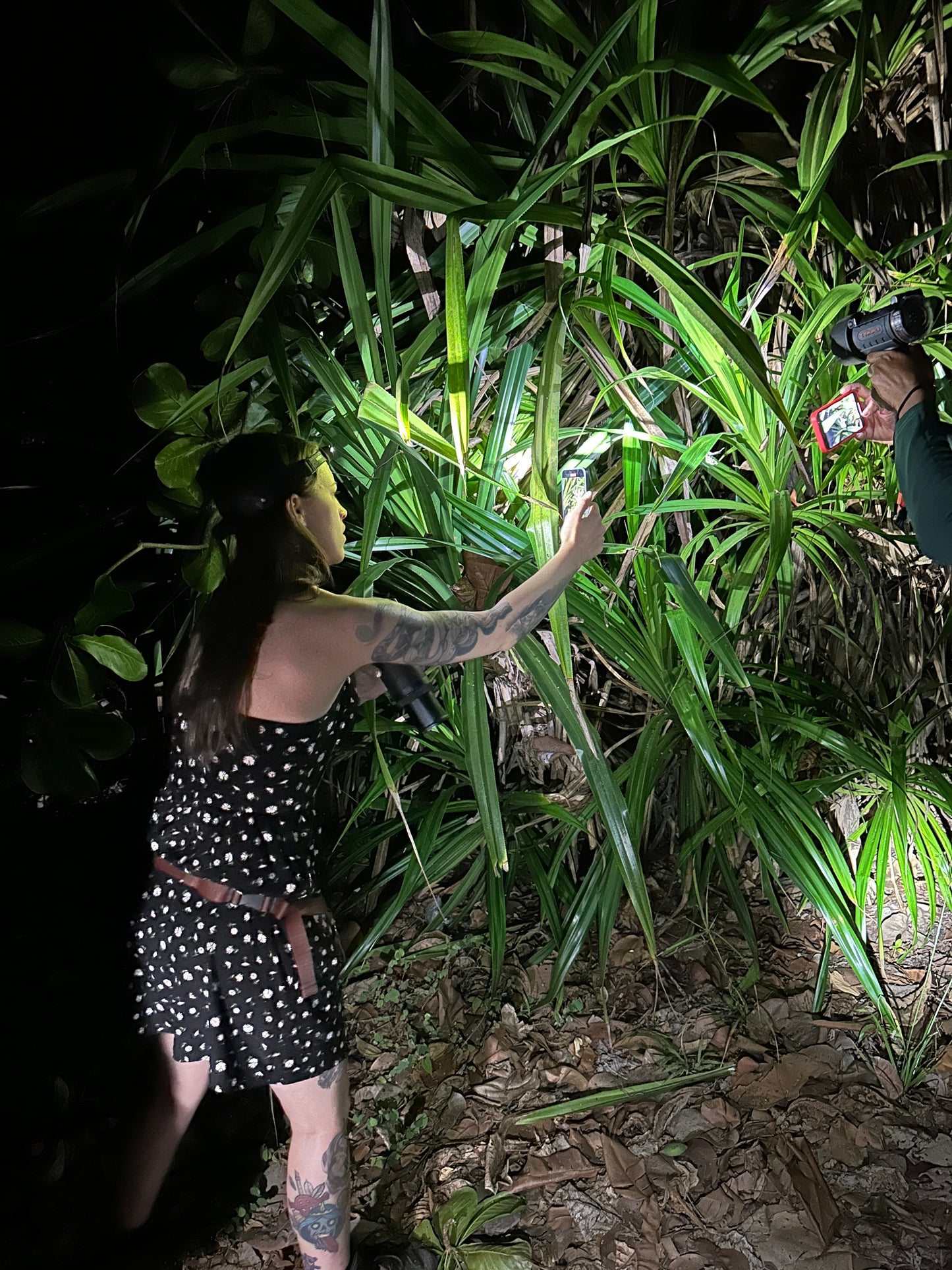 Tortuguero 360° Experience: Waterways, Wilderness & Nightlife.