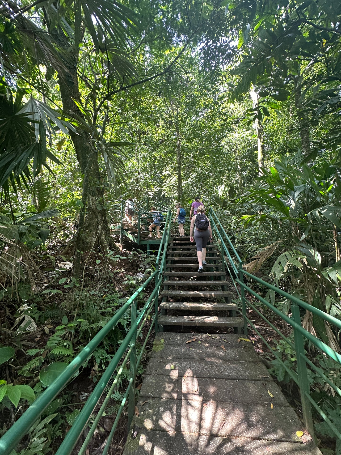 Tortuguero Grand Expedition: Canoe, Trail, Hill & Night Adventure.