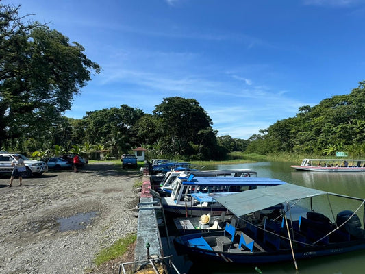 Boat Moín - Tortuguero or Tortuguero - Moín.