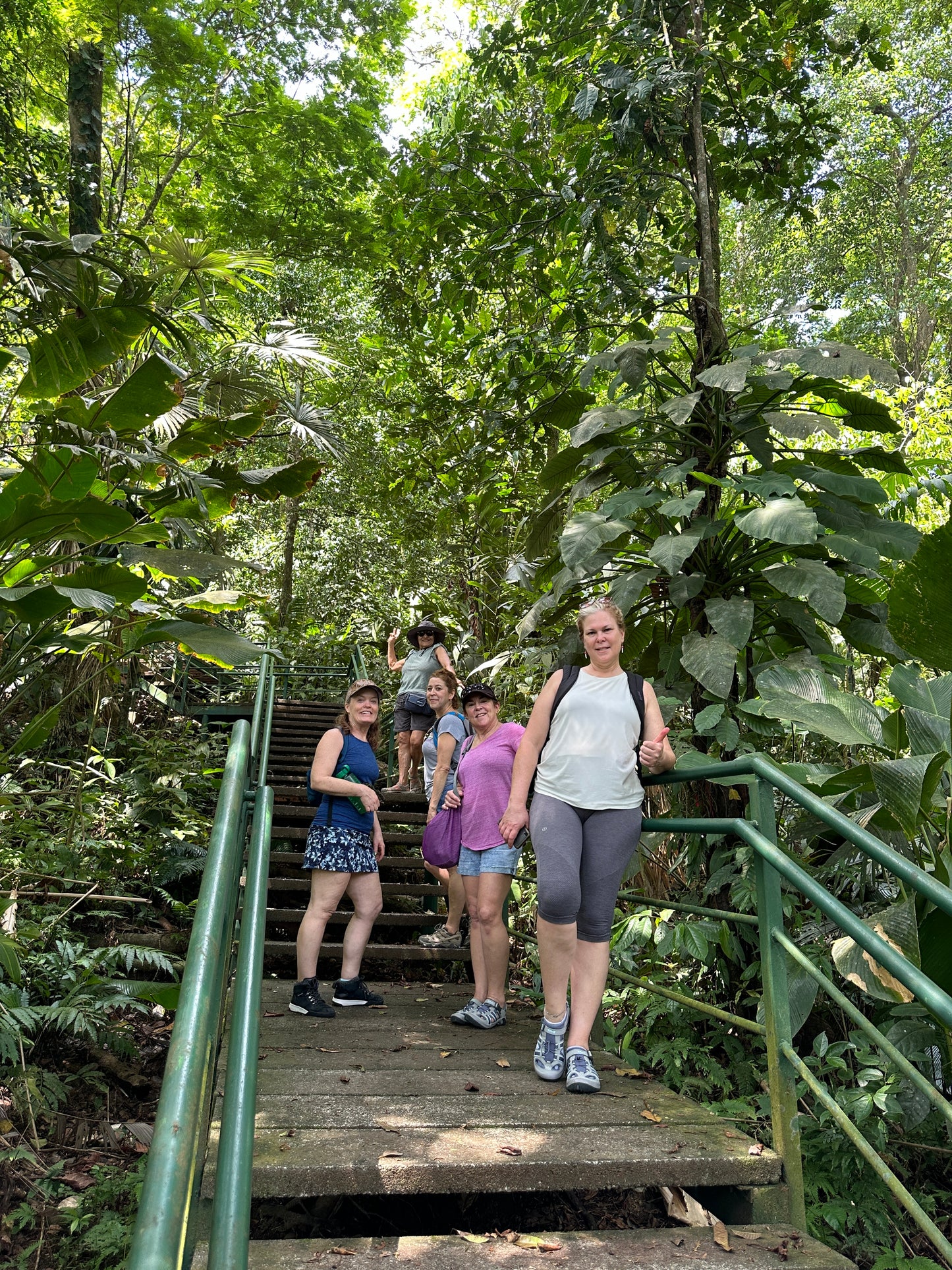 Breathtaking Tortuguero Hill Tour