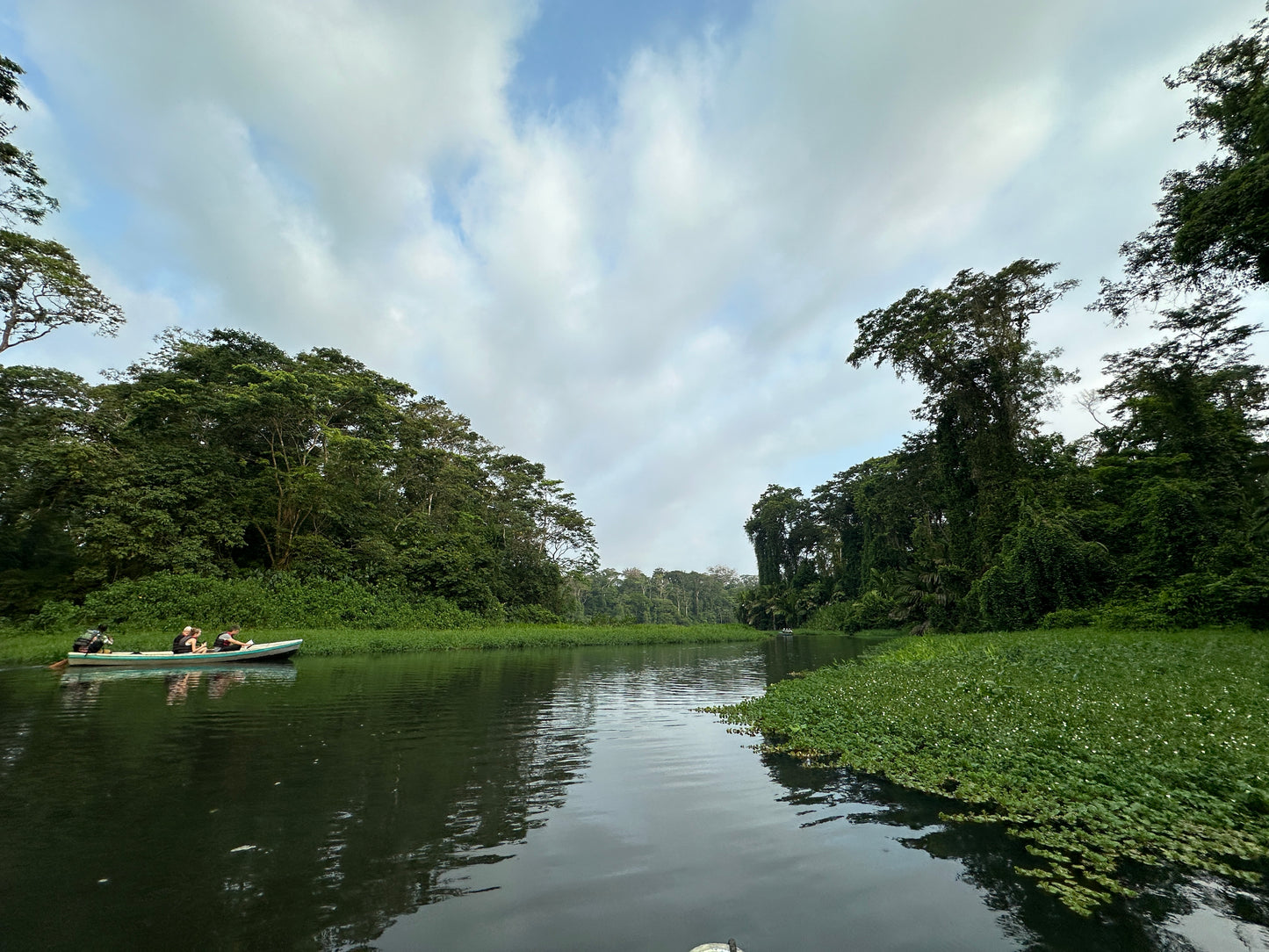 Relaxing Canoe Tour in Tortuguero
