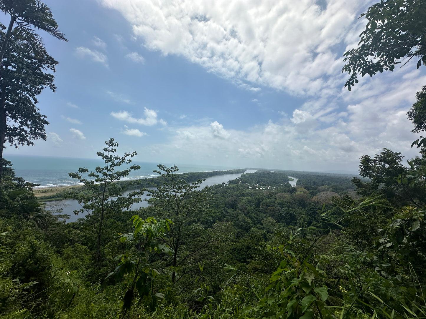 Scenic view from Tortuguero Hill Tour during Hike Cerro Tortuguero showcasing lush landscapes and vibrant wildlife