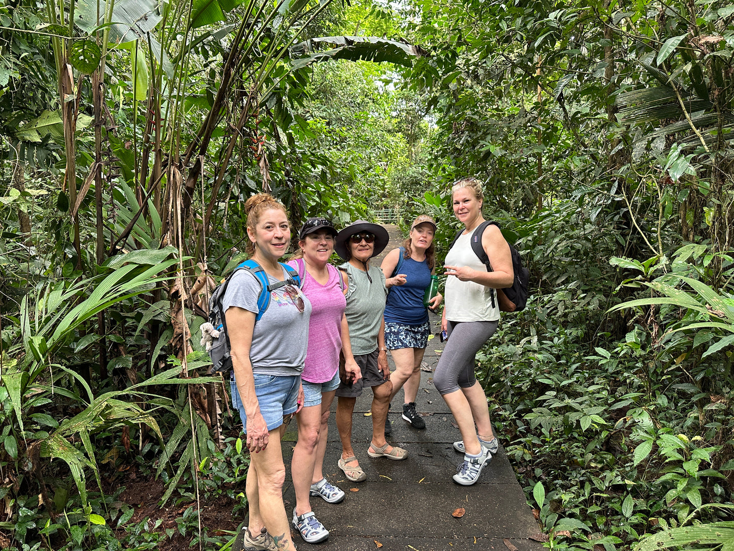 Breathtaking Tortuguero Hill Tour