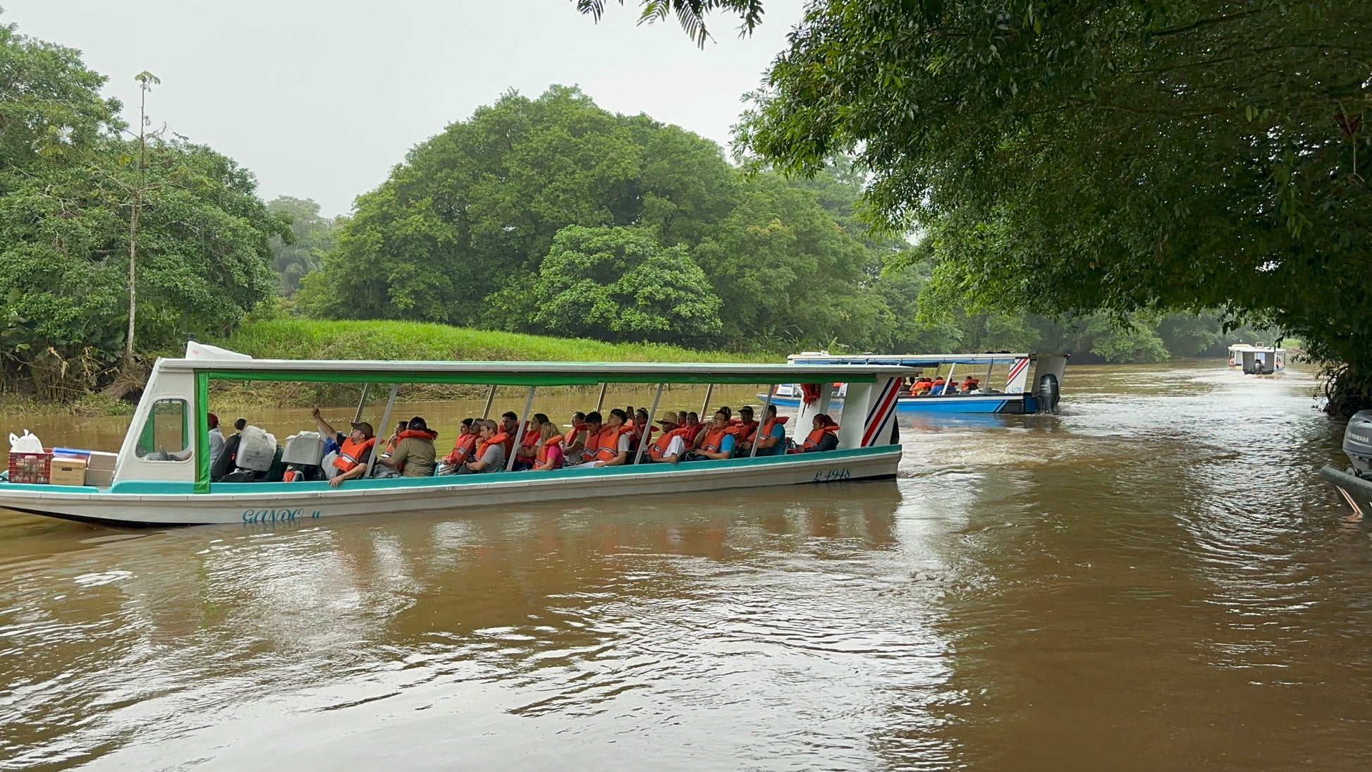 Round Trip Boat Pavona-Tortuguero-Pavona.