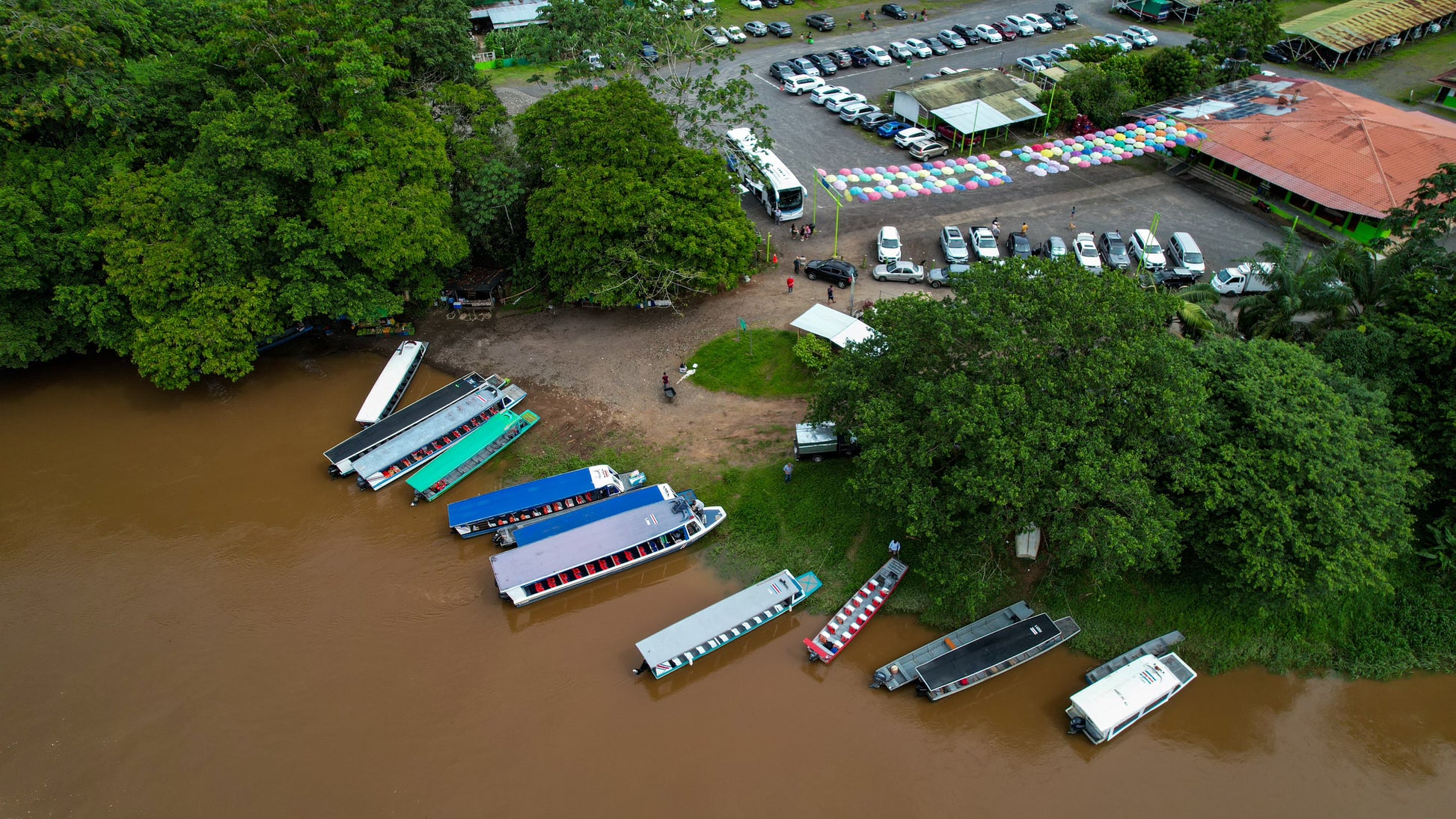 Round Trip Boat Pavona-Tortuguero-Pavona.