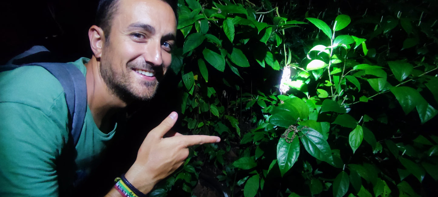 Tortuguero 360° Experience: Waterways, Wilderness & Nightlife.