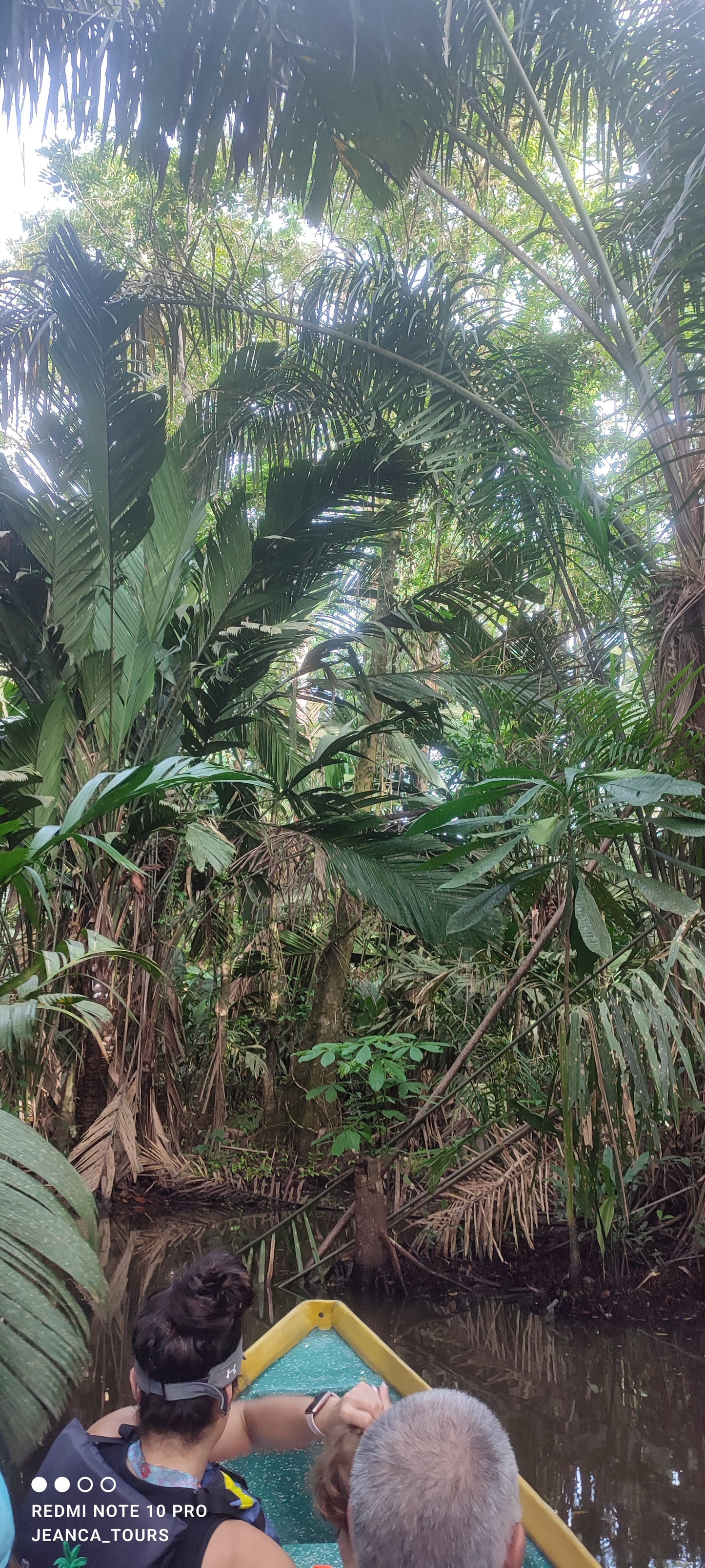 Scenic canoe tour through Tortuguero National Park showcasing rich wildlife and lush tropical landscapes.