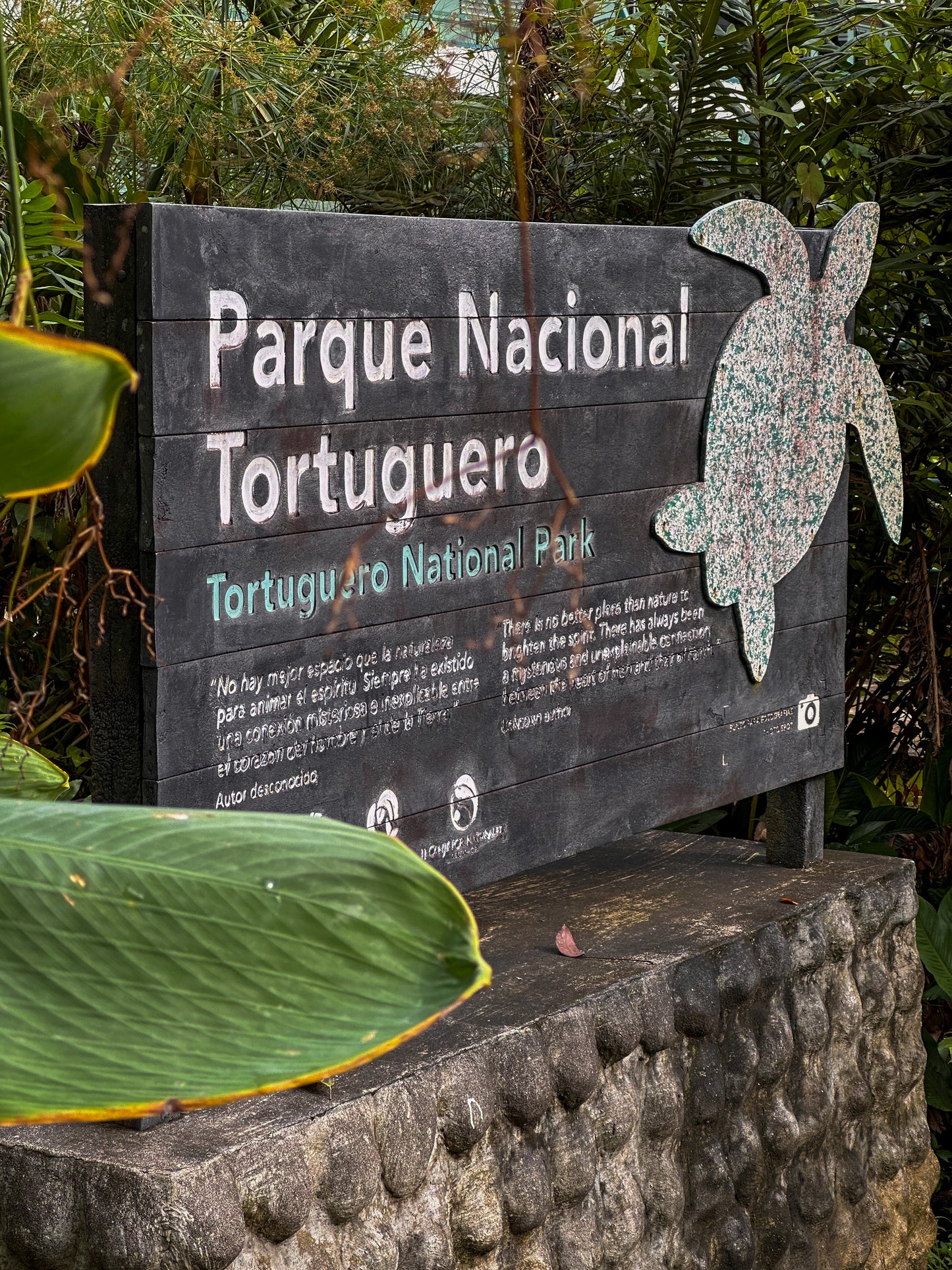 Unforgettable Jaguar Trail Walk in Tortuguero.