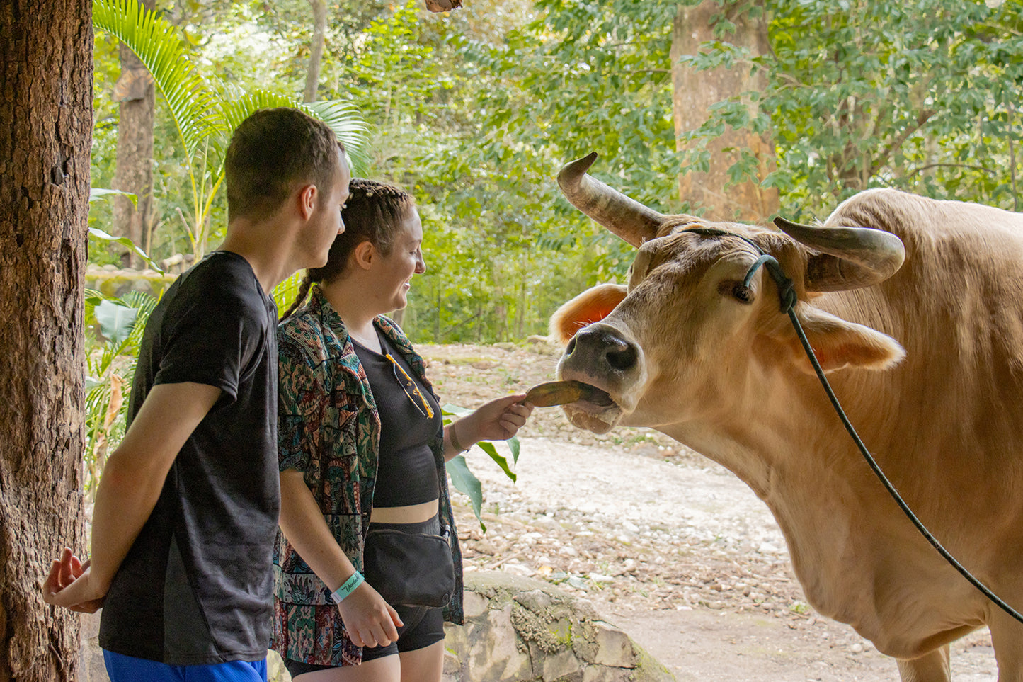 Guanacaste Mega Adventure Day.