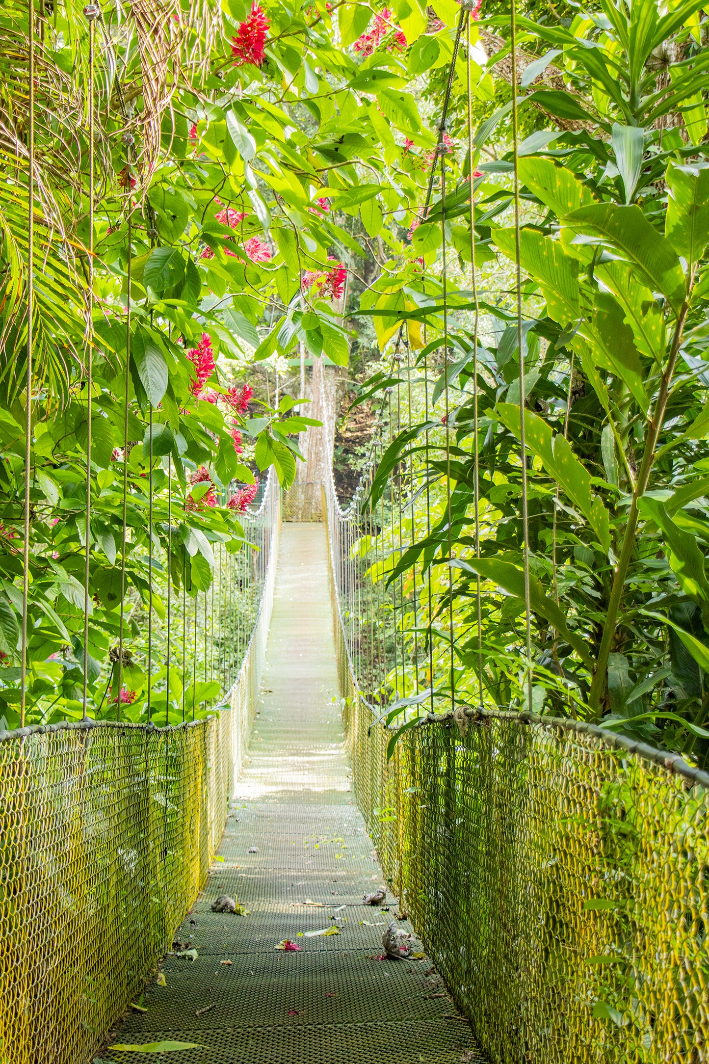 Guanacaste Mega Adventure Day