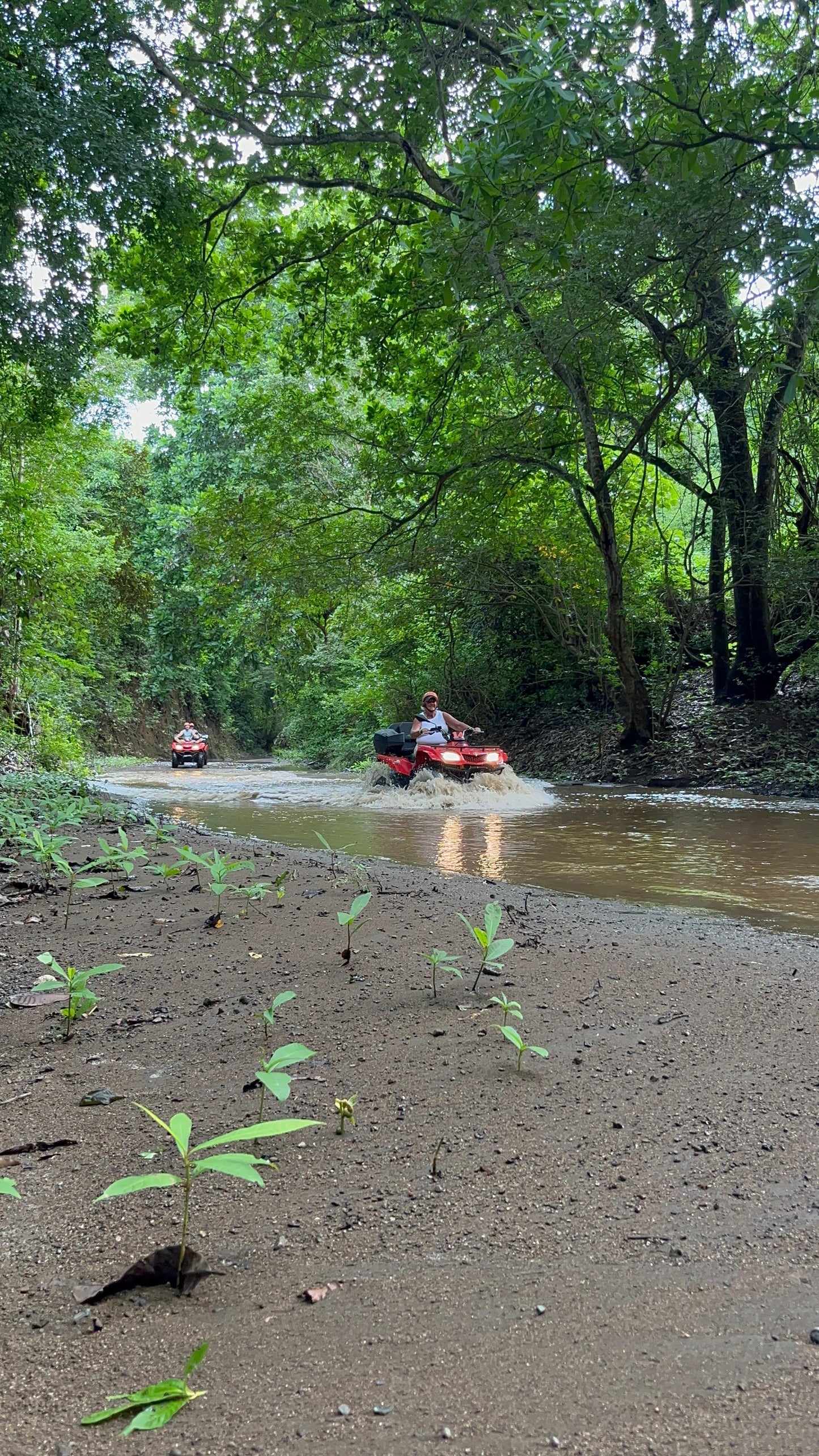 ATV Jungle Adventure - Guanacaste.