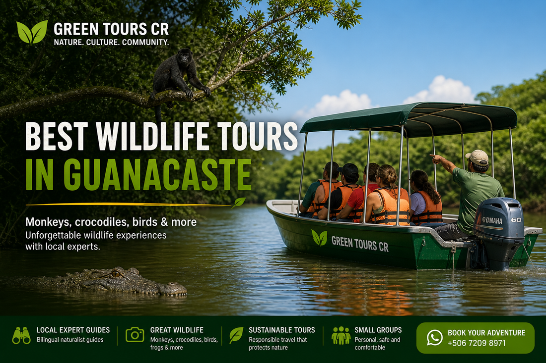 Best Wildlife Tours in Guanacaste, Costa Rica