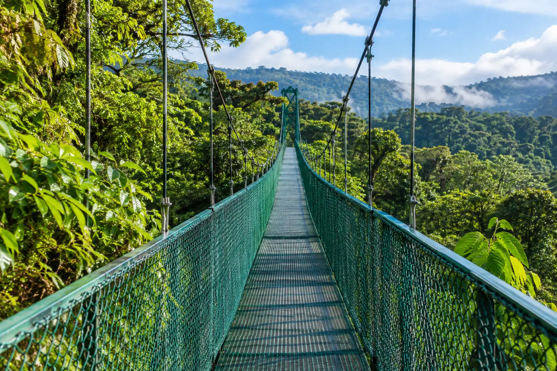 Best Monteverde Suspension Bridges for Your Trip