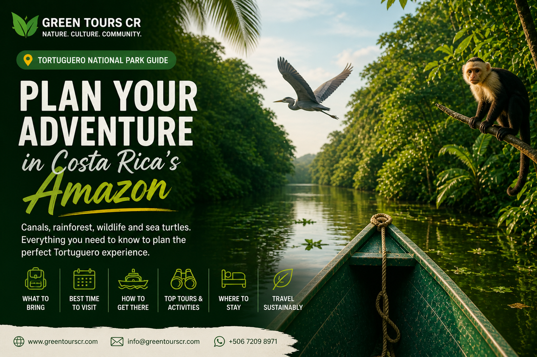Ultimate Travel Guide to Tortuguero National Park, Costa Rica