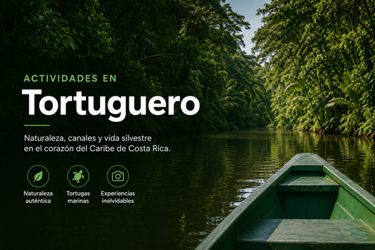 Todas las actividades que puedes hacer en Tortuguero, Costa Rica