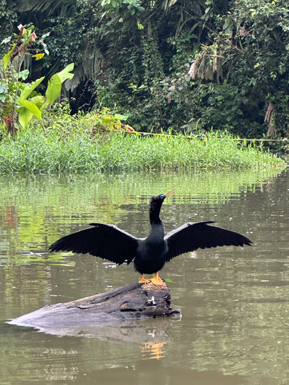 Tour en kayak