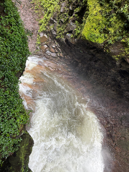 Tour Volcán Miravalles Experiencia Guanacaste