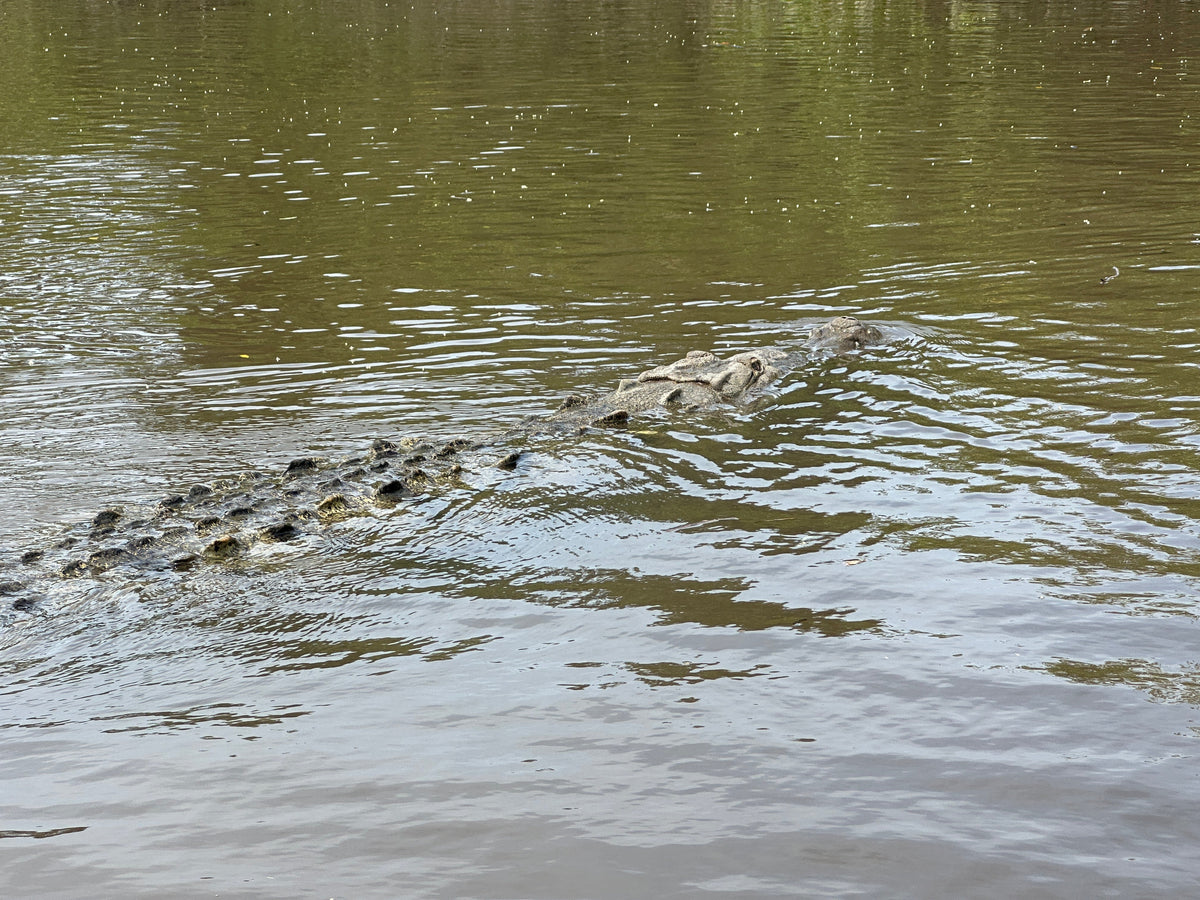 Palo Verde River Safari in Guanacaste