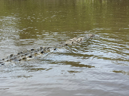 Palo Verde River Safari in Guanacaste