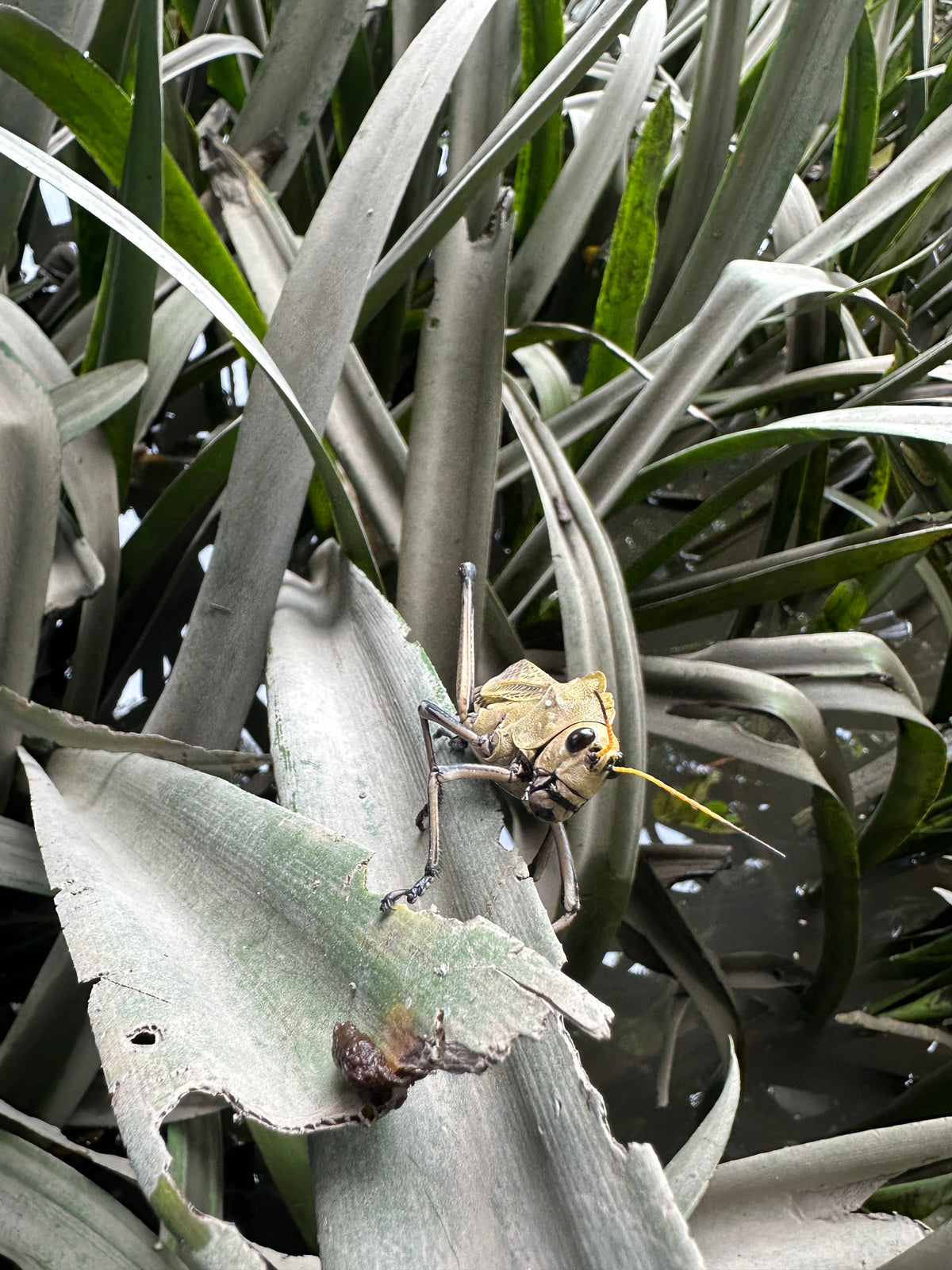 Palo Verde River Safari in Guanacaste