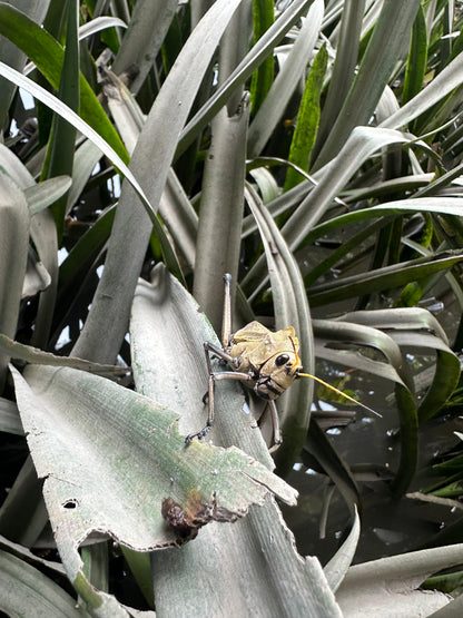 Palo Verde River Safari in Guanacaste
