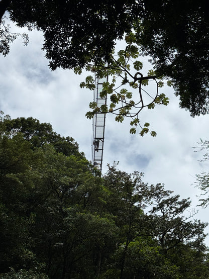 Tour Volcán Miravalles Experiencia Guanacaste