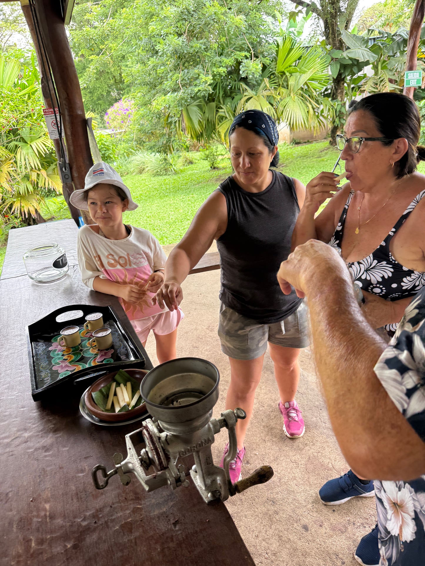 Bijagua Rainforest, Coffee & Chocolate Tour + Llanos del Cortez Waterfall | From Guanacaste