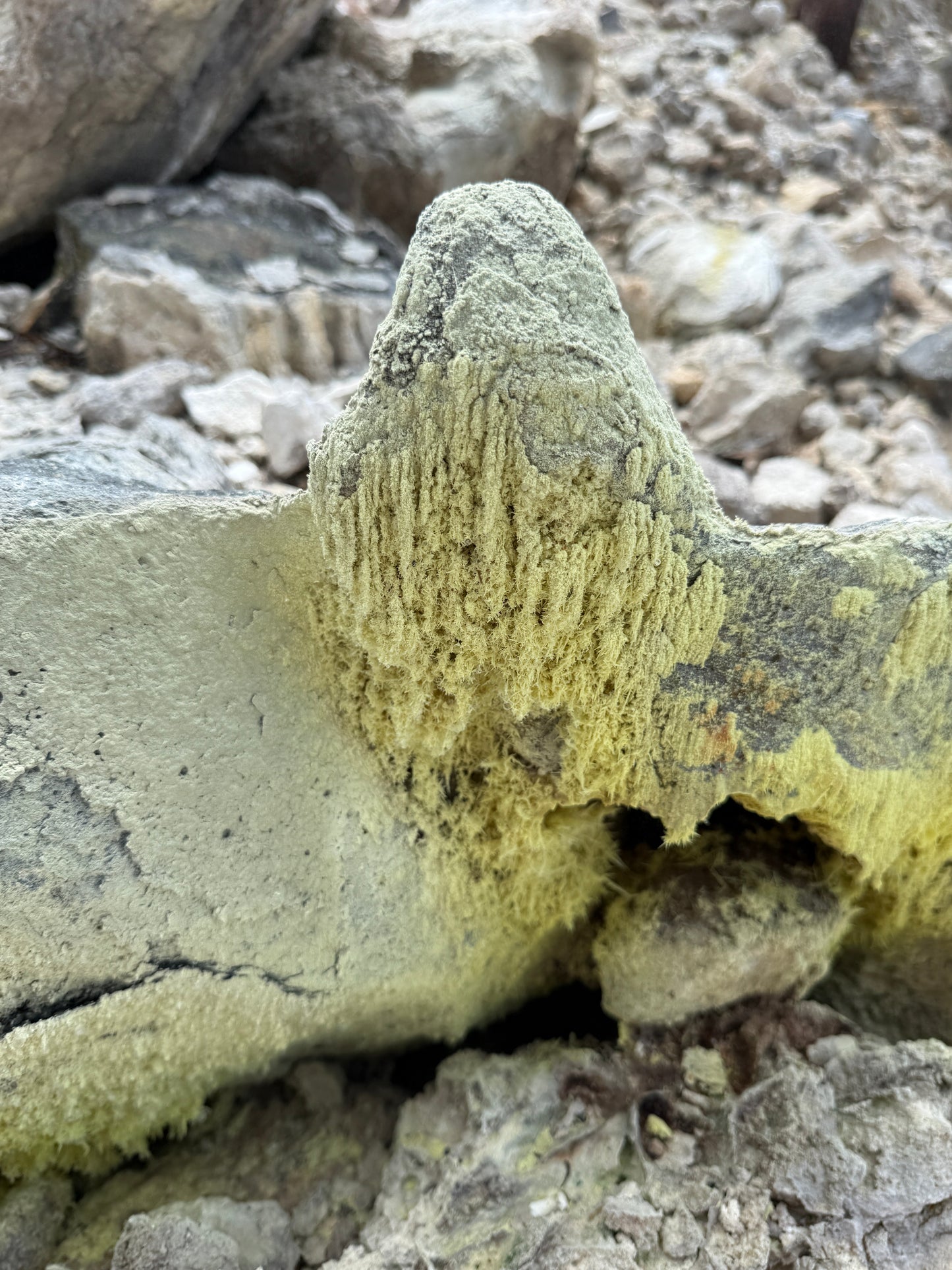 Tour Volcán Miravalles Experiencia Guanacaste