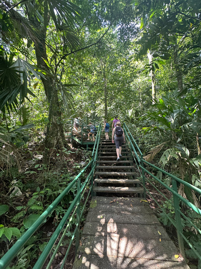 Tortuguero Hill Tour