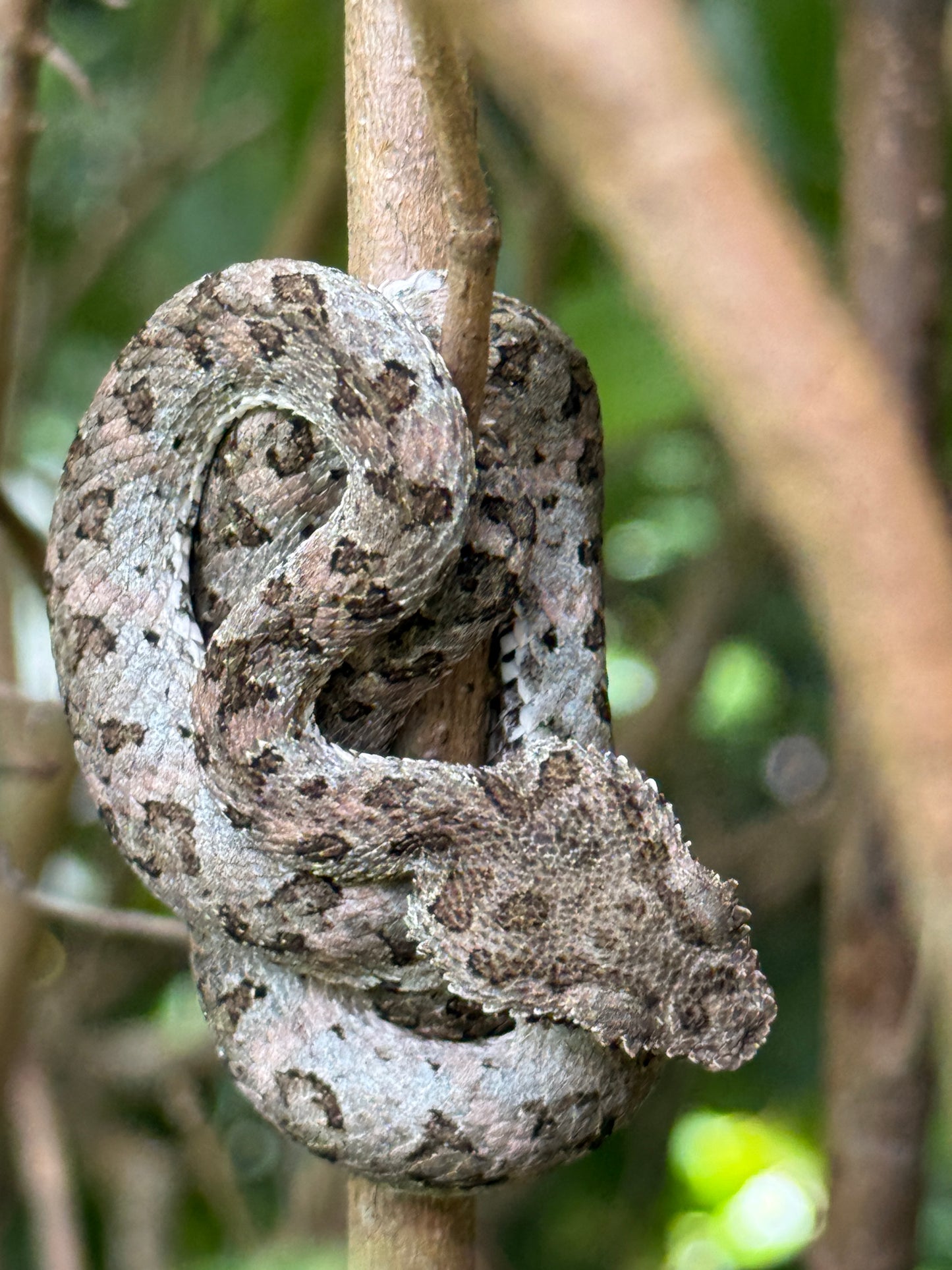 Tour Volcán Miravalles Experiencia Guanacaste