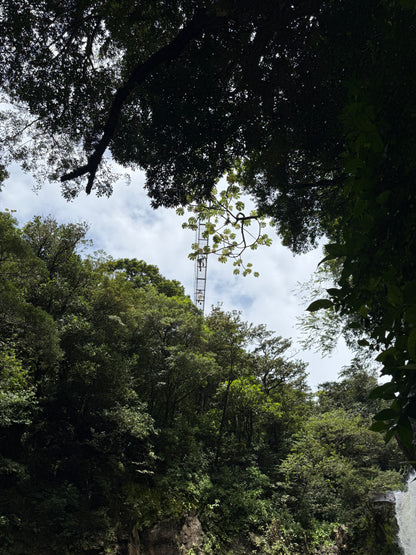 Tour Volcán Miravalles Experiencia Guanacaste