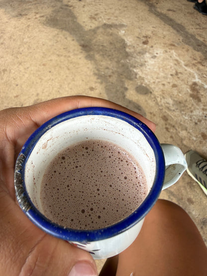 Bijagua Rainforest, Coffee & Chocolate Tour + Llanos del Cortez Waterfall | From Guanacaste