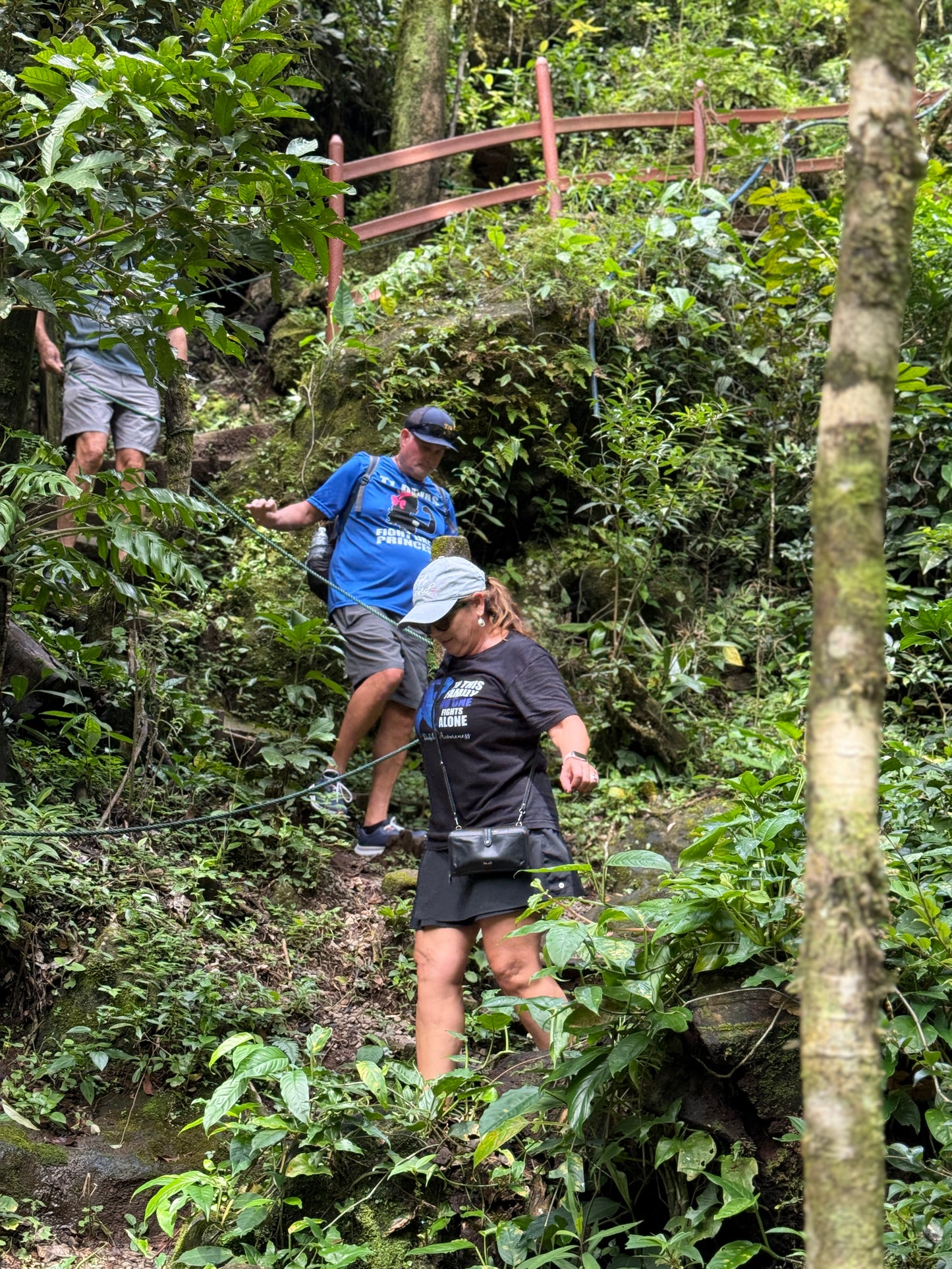 Tour Volcán Miravalles Experiencia Guanacaste