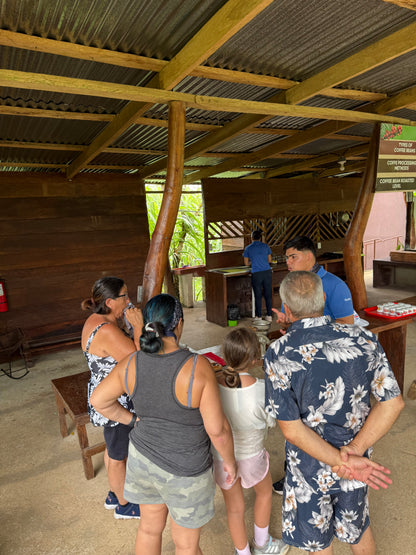 Bijagua Rainforest, Coffee & Chocolate Tour + Llanos del Cortez Waterfall | From Guanacaste