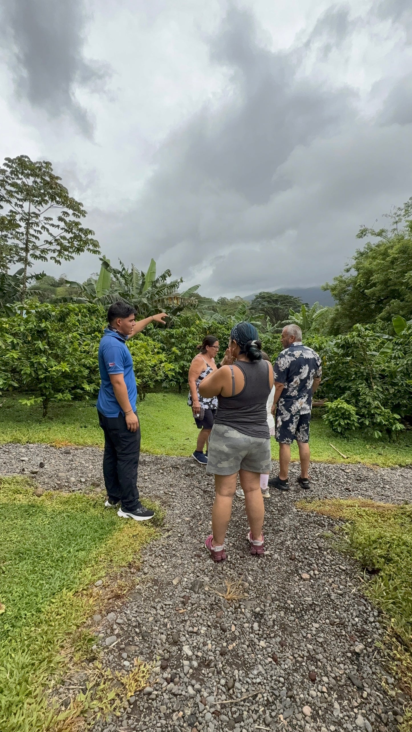 Bijagua Rainforest, Coffee & Chocolate Tour + Llanos del Cortez Waterfall | From Guanacaste
