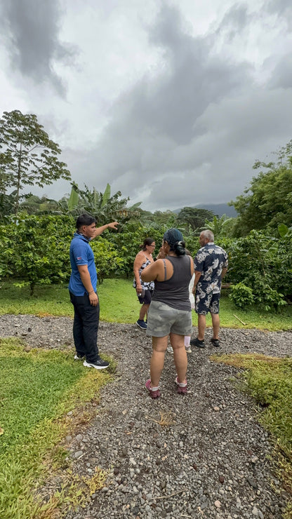 Bijagua Rainforest, Coffee & Chocolate Tour + Llanos del Cortez Waterfall | From Guanacaste