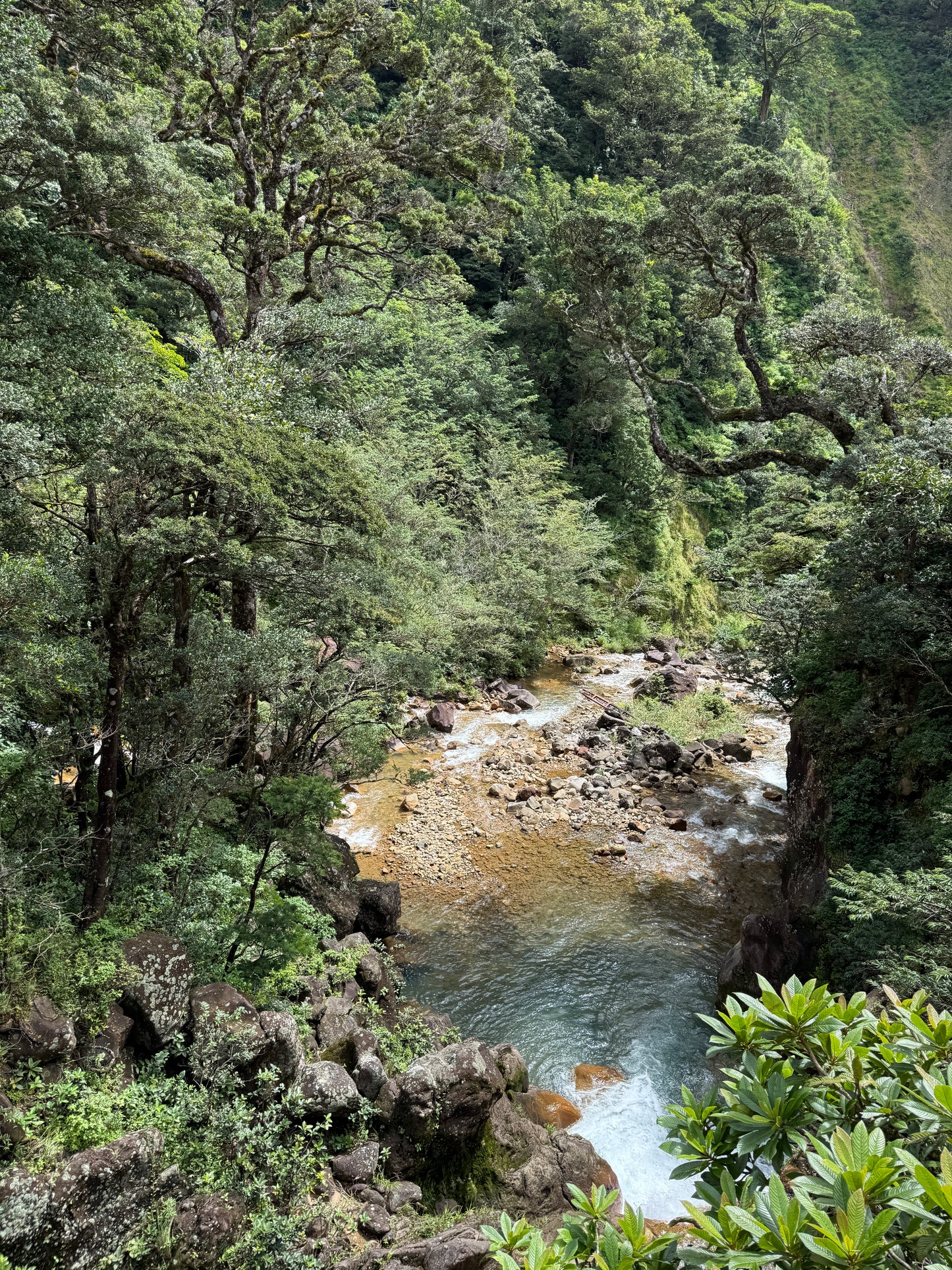 Tour Volcán Miravalles Experiencia Guanacaste