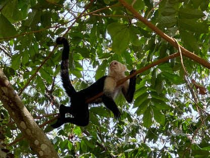 Tortuguero Hill Tour