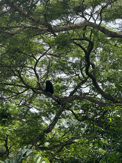 Palo Verde River Safari in Guanacaste