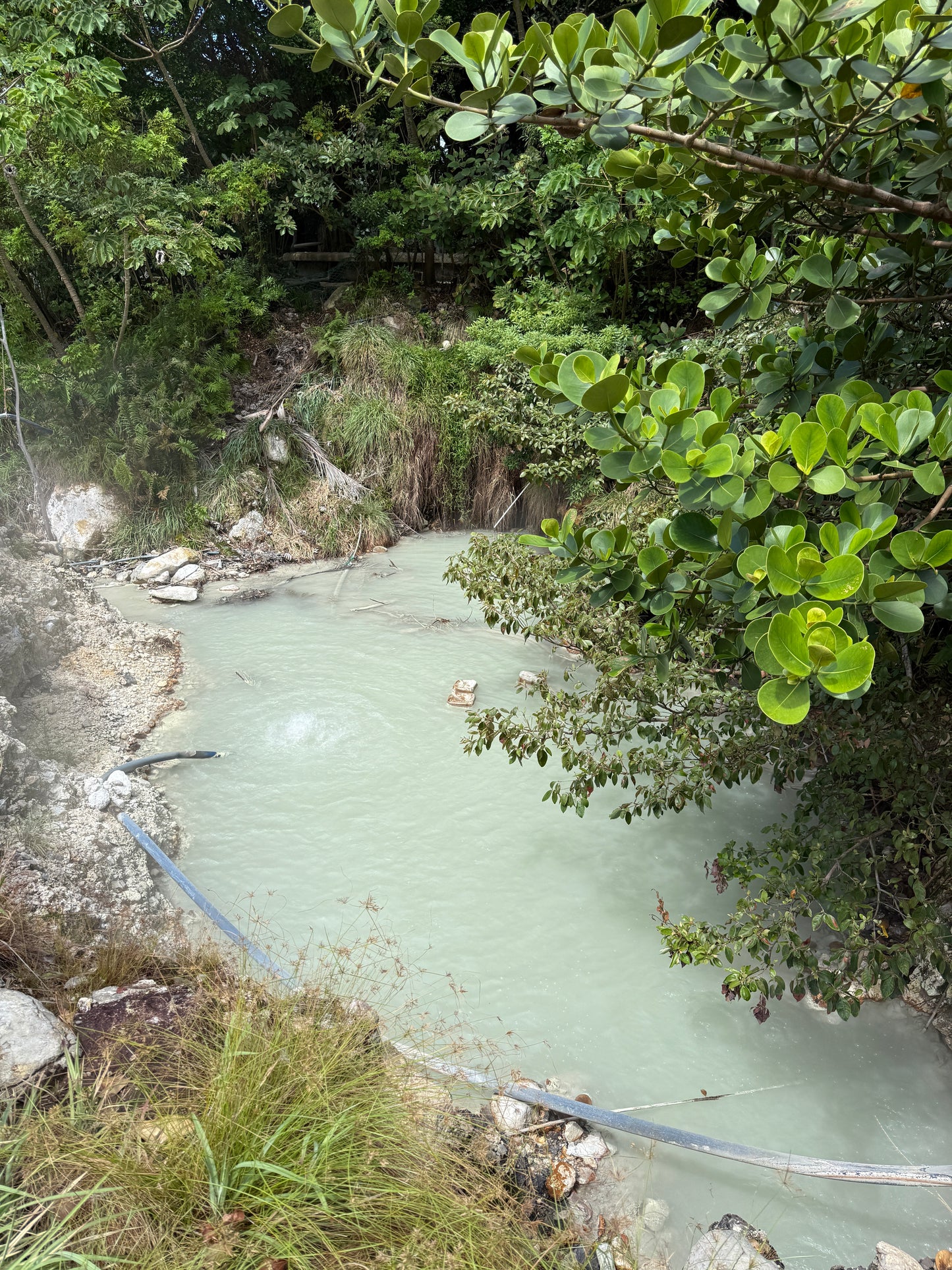 Tour Volcán Miravalles Experiencia Guanacaste