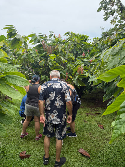 Bijagua Rainforest, Coffee & Chocolate Tour + Llanos del Cortez Waterfall | From Guanacaste