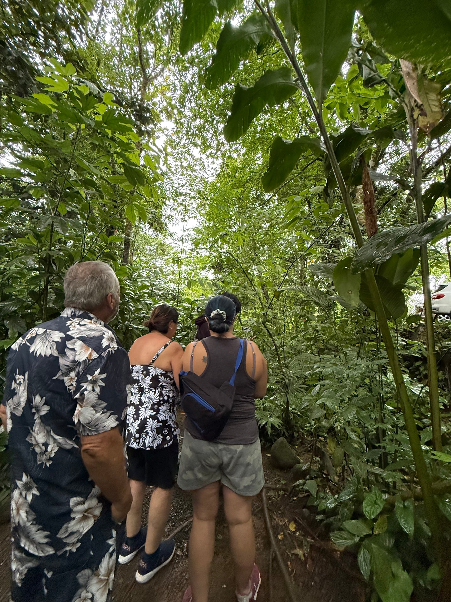 Bijagua Rainforest, Coffee & Chocolate Tour + Llanos del Cortez Waterfall | From Guanacaste