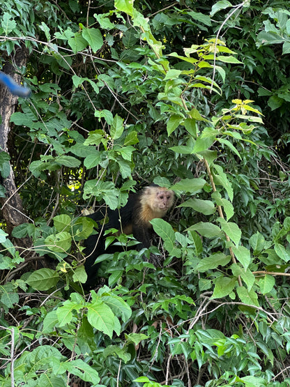 Palo Verde River Safari in Guanacaste