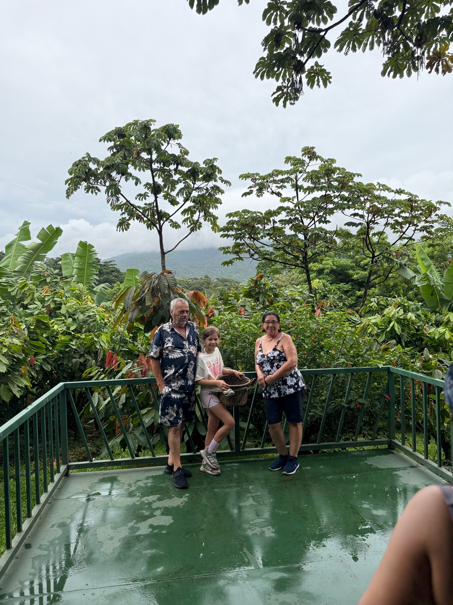 Bijagua Rainforest, Coffee & Chocolate Tour + Llanos del Cortez Waterfall | From Guanacaste