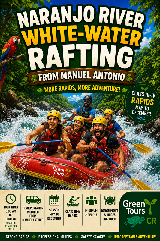 Naranjo River White-Water Rafting from Manuel Antonio