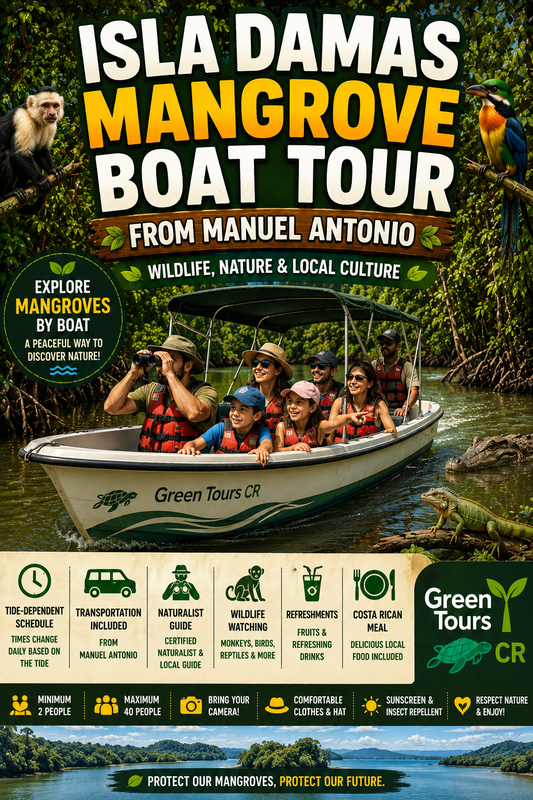 Isla Damas Mangrove Boat Tour from Manuel Antonio