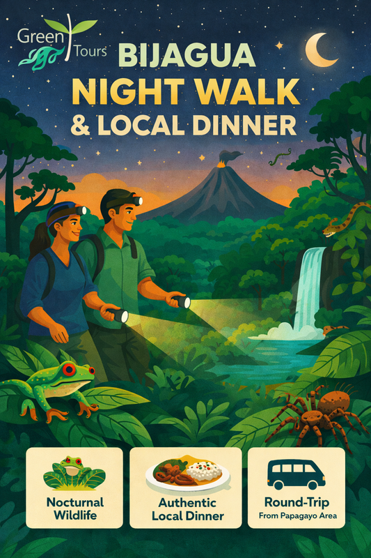 Bijagua Night Walk & Local Dinner