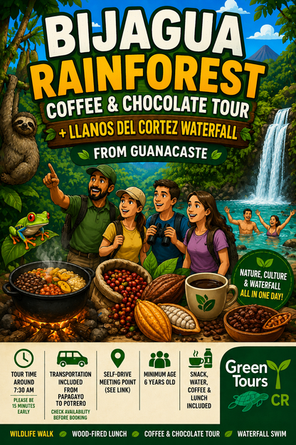Bijagua Rainforest, Coffee & Chocolate Tour + Llanos del Cortez Waterfall | From Guanacaste
